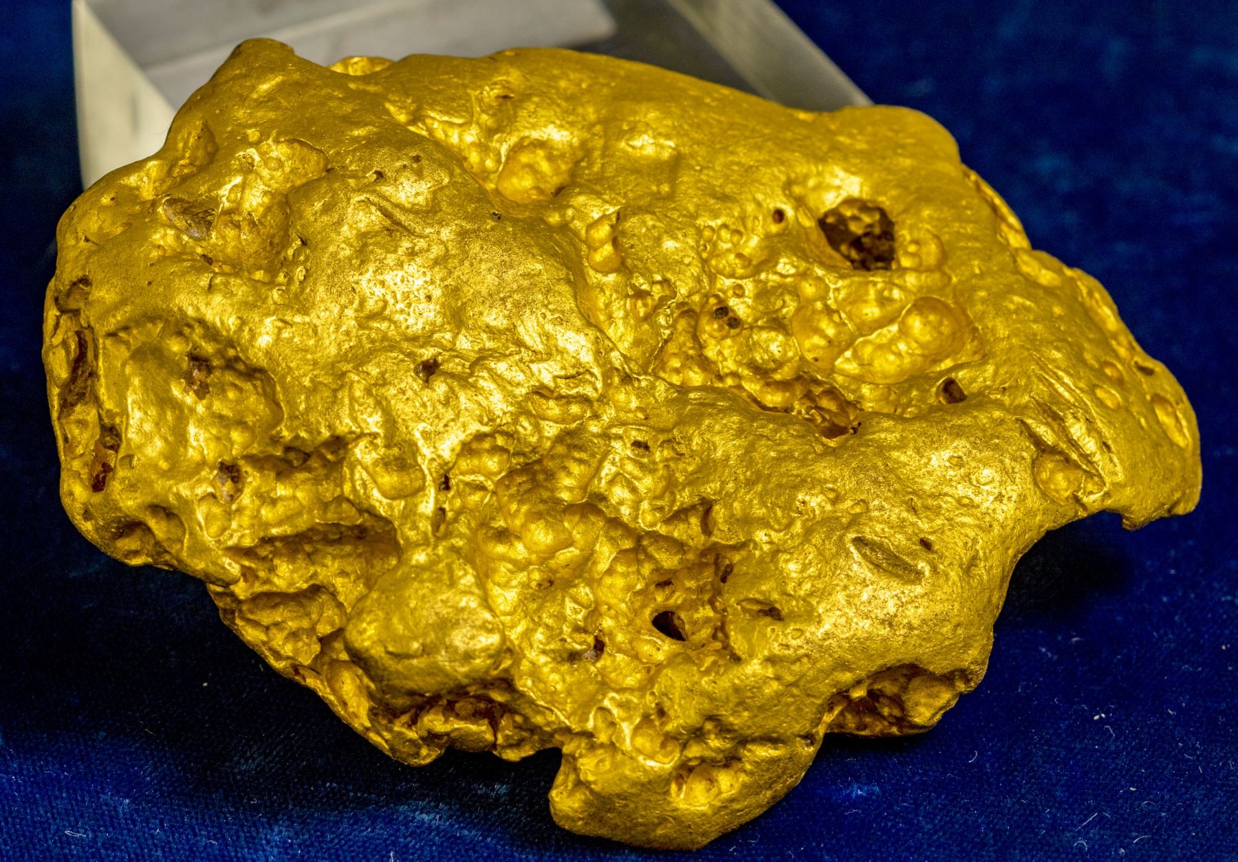 Buy Nuggets Online