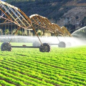 Agricultural Products