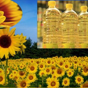Refined Sunflower Oil